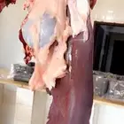 حاشي بالربع والثمن ياصلك لباب بيتك مغلف جاهز