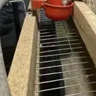 سقايات طيور اوتماتيك