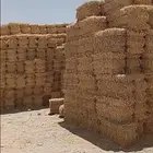 تبن بر طيب