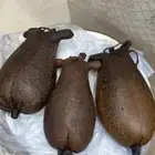 يوجد عندي سعن وعكك ضبان