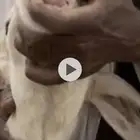 نجديه معها خروف سنها تامه وديس سلم