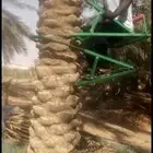 كر حديدي يمكنك صعود او طلوع النخيل