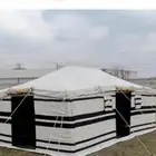 خيام وبيوت شعر