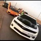 كبوت قفاري