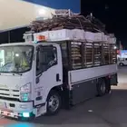 دينه تحميل نحل القوز حلي الصوالحه محايل