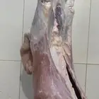 ذبايح بريه جبره