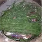 مرخ وسلع طازج حجر مرو حجر مظبي