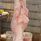 ذبيحتك تأصل لباب بيتك بكل صدق وأمانه