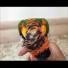 مروض طيور ببغاء بي ارخص الاسعار -مكه-جده-ادخل اقرا