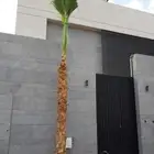 مشتل صيانة مستمره