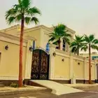 نخل واشنطني واشنطنيا نخيل هلالي دخيني مصيفه حلوه ونانه صقعي