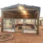 سعف نخل رولات السعف للمظلات والاحواش