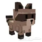 راكون رينبو عمره 100 ماب المزرعه