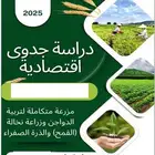 دراسة الجدوي تضمن الاستثمار الصحيح