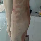 السواكنى الطازج