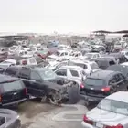 تشاليح الرياض