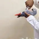 ببغاء كاسكو