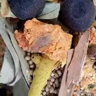 بهارات مميزة خلطة خاصة وشغل منزلي وعلى الشرط