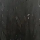 شعر طبيعي 100   طويله