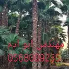 تنسيق حدائق