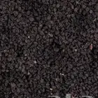 بذور بصل حساوي 500جرام