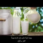 حليب بقر طازج