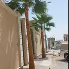 تكريب نخل وشجر