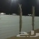 شنكو شبة جديد للبيع