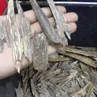 كلمنتان بنتيانك طبيعي