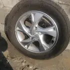 جنوط النتراء 2022