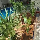 تنسيق حدائق