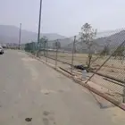 مقاول نخيل وشبك