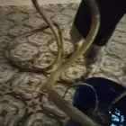 تسليك مجاري ورش مبيدات