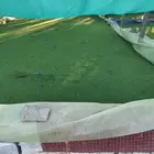 ازلا وسلفينيا وخص الما وعدس الما
