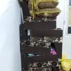 مجلس كنب للبيع
