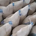 حنا عضوي 100 من مزارعنا في ينبع النخل