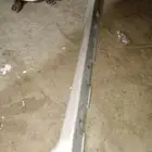سمكه باب كامري