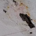 شركة كشف تسربات المياه
