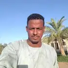 خبير حمام فرز الذكر والأنثى بالحجل وتنظيم وترتيب الإنتاج