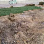 زراعه تيل طبيعي والاشجار تنسيق حدائق شامله