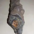 حجر الفلجوريت البرق المتحجر Petrified lightning