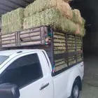 موصل برسيم بالونيت