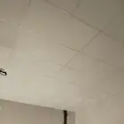 معلم سقف مستعار معلق مكة وجدة