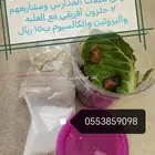 حلزون أفريقي عمر شهرين عرض لطلاب المدارس