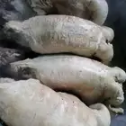 طباخ متنقل معاء جميع أدوات الطبخ داخل وخارج الرياض