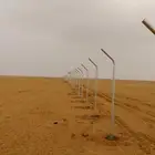 مقاول شبوك ونخيل