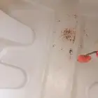 شركه تنظيف بالقصيم