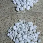 شبوك وحجر ديكور