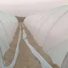 بيوت محميه فك وتركيب