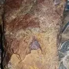 خام حجر الأنديسين...Andesine